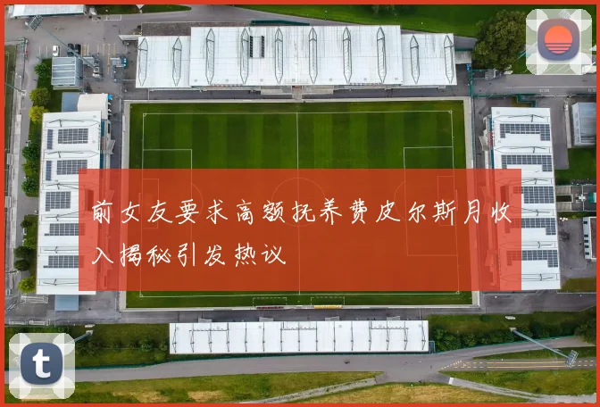 前女友要求高额抚养费皮尔斯月收入揭秘引发热议
