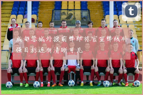 成都蓉城外援前锋即将官宣锋线补强目标逐渐清晰可见